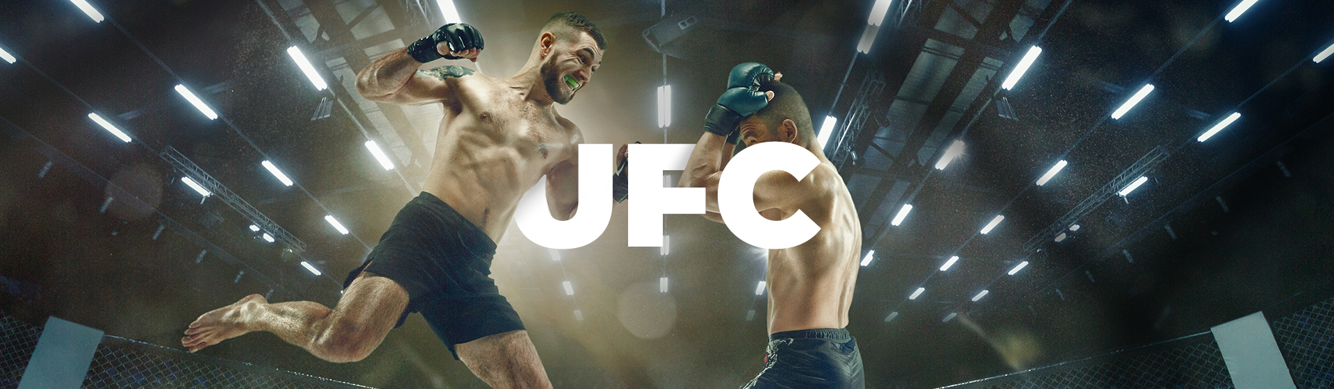 Fighting header image